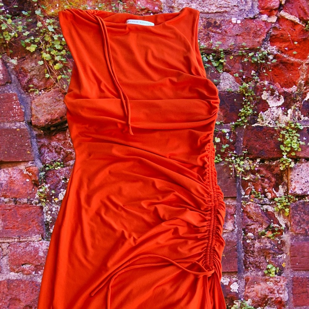Susana Monaco Strapless Orange Long Dress